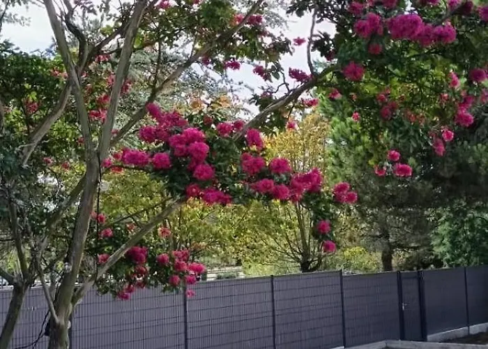 Pavillon Bord De - 10min Des Plages En Velo * Le Fenouiller